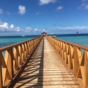 Meet your Posher, Coral